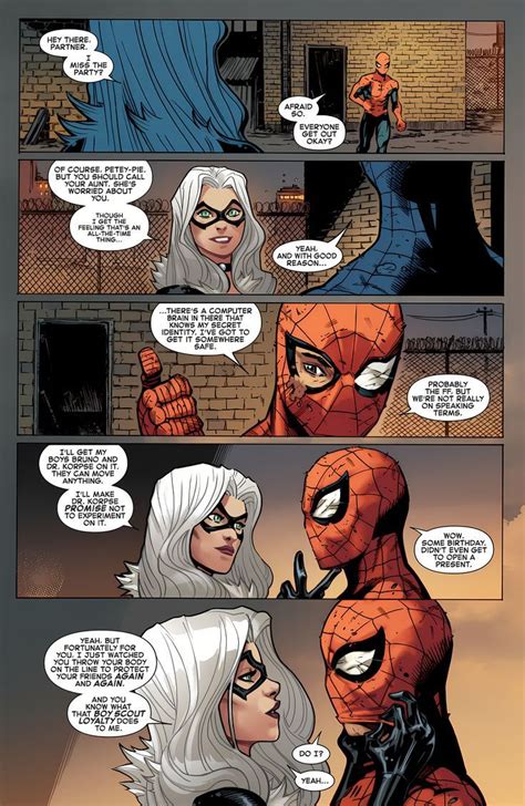 spiderman x black cat|The Spider Catches the Cat Chapter 1: The chase, a spider.